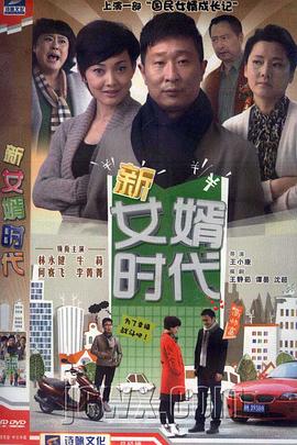 新女婿时代电视剧全34集