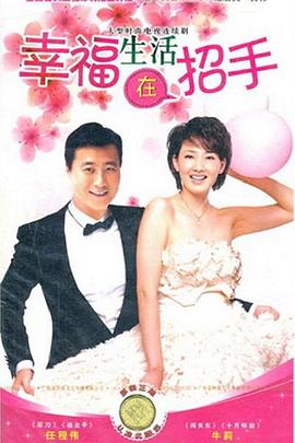 幸福生活在招手电视剧全29集