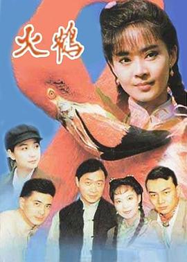 火鹤电视剧全18集