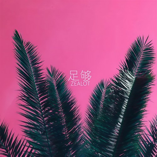 足够 (伴奏)歌词-Zealot周星星