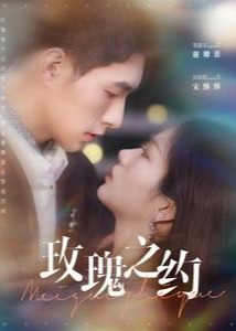 玫瑰之约短剧全95集