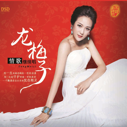 一段情歌一段伤 (DJ阿远 Remix)歌词-龙梅子