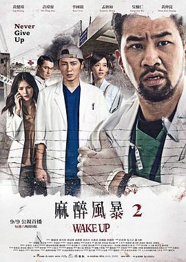 麻醉风暴2电视剧全13集