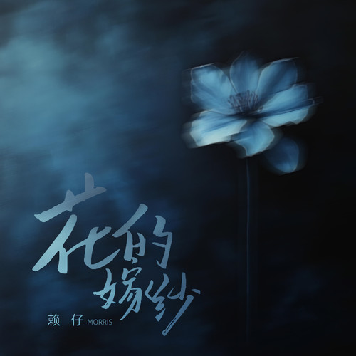花的嫁纱 (伴奏)歌词-赖仔Morris