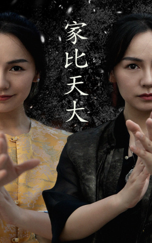 家比天大短剧全63集