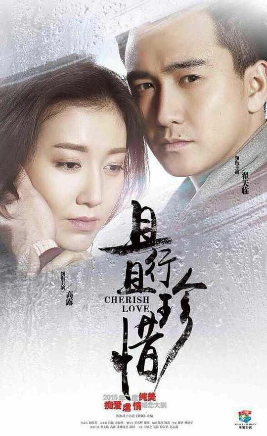 且行且珍惜电视剧全38集