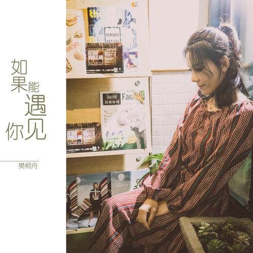 如果能遇见你歌词-樊桐舟
