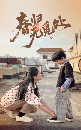 春归无觅处短剧全46集