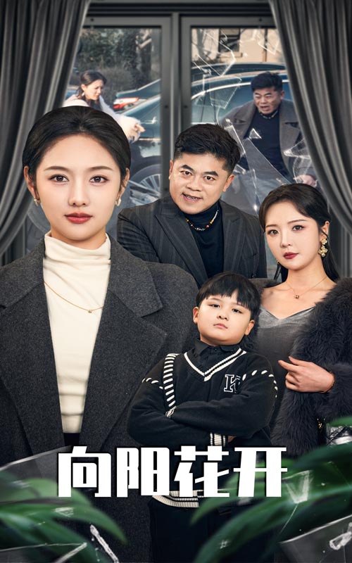溺爱的代价 向阳花开短剧全38集