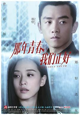 那年青春我们正好电视剧全39集