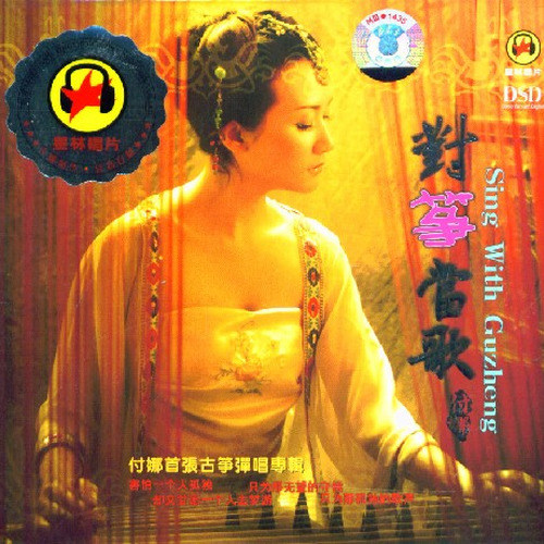 我有一段情歌词-付娜