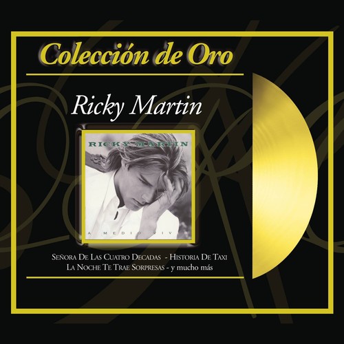 Corazon (Album Version)歌词-Ricky Martin