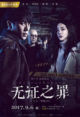 无证之罪电视剧全12集