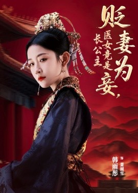 贬妻为妾医女竟是长公主短剧全80集