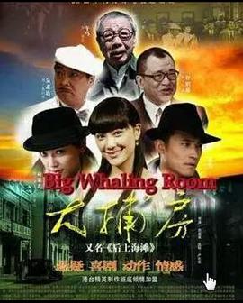 大捕房电视剧全33集