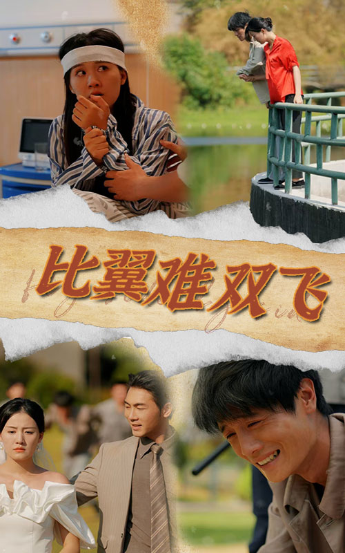 比翼难双飞短剧全30集