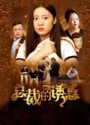 总裁的诱惑电视剧20集全