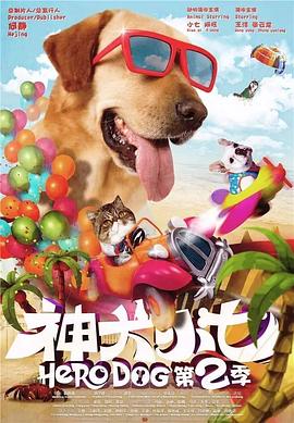 神犬小七第二季电视剧全42集