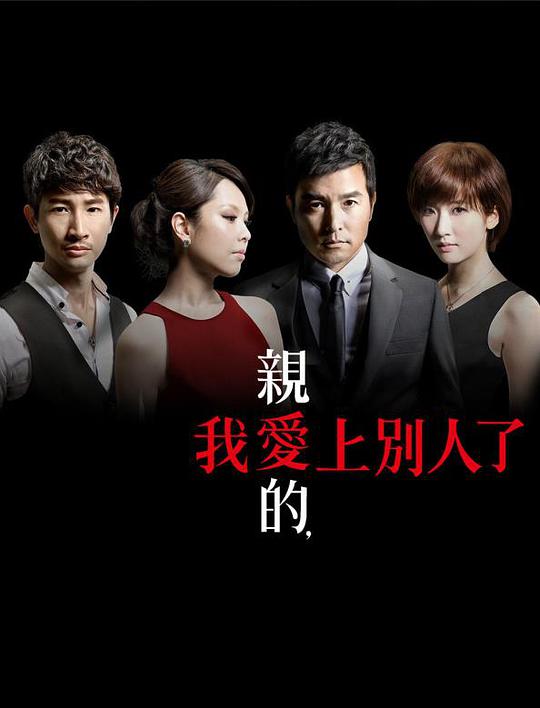 亲爱的，我爱上别人了电视剧全15集