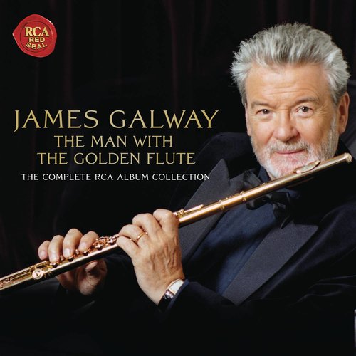 I. Allegro moderato (第一乐章 有节制的快板)歌词-James Galway / Phillip Moll