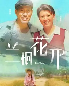 中央2套节目表在线回看