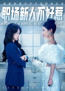 我们俩的婚姻全集