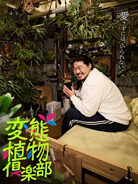 纯情罗曼史第一季免费观看