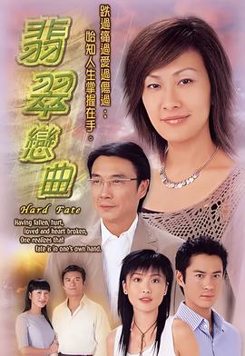 青盲电视剧全集免费tv
