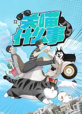 与君歌发布会完整版