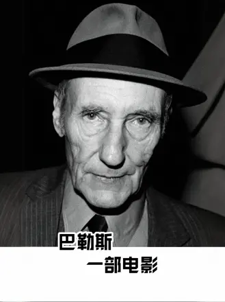 女人当家电视剧全集