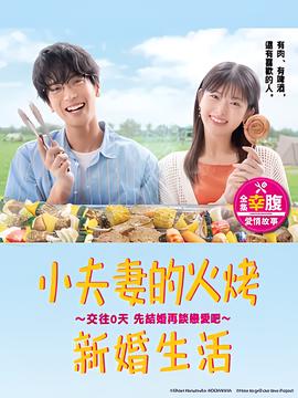飞虎神鹰之我是燕双鹰