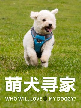 真爱找麻烦第84集